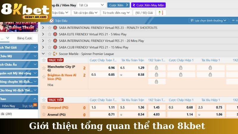 Giới thiệu tổng quan thể thao 8kbet